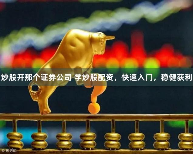 炒股开那个证券公司 学炒股配资，快速入门，稳健获利