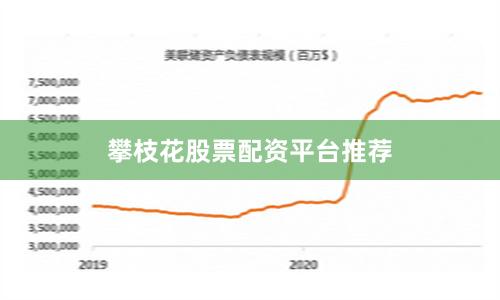 攀枝花股票配资平台推荐