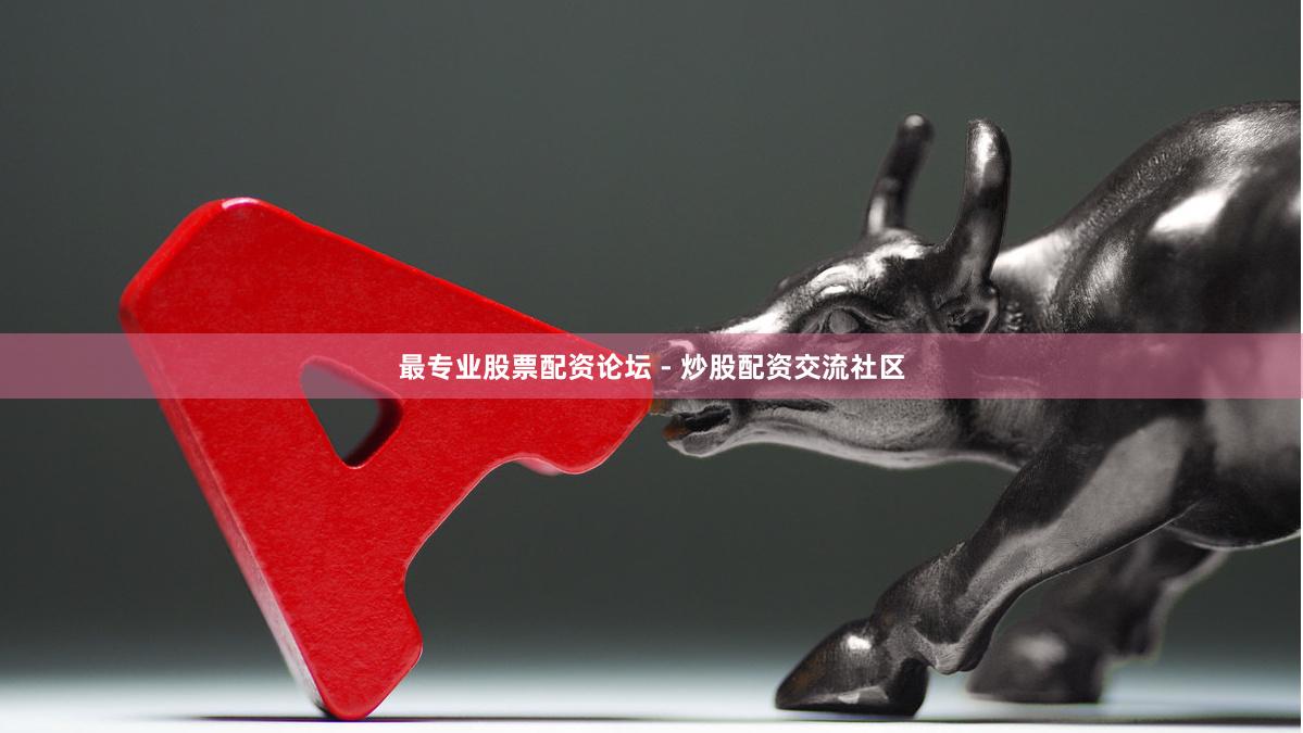 最专业股票配资论坛 - 炒股配资交流社区